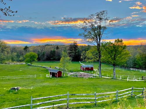 Sunset Farm -- Anne Colturi