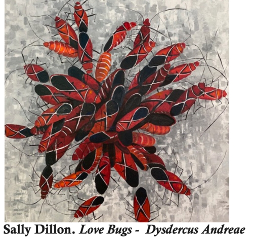 Love Bugs, S. Dillon (Dysdercus andreae)