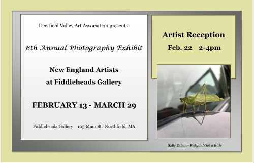 Annual Photo Exhibit '26